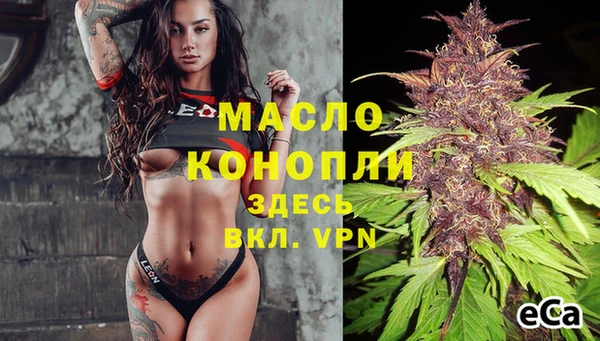 шишки Наволоки