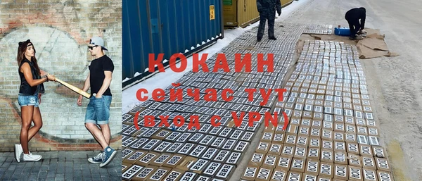 шишки Наволоки