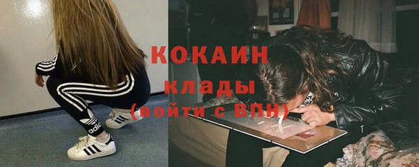 шишки Наволоки