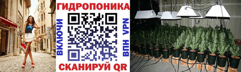 купить   Плёс  Шишки марихуана VHQ 